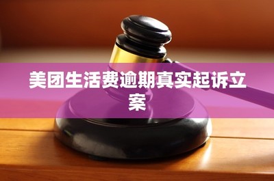 美團生活費逾期真實起訴立案 法律解析與應(yīng)對